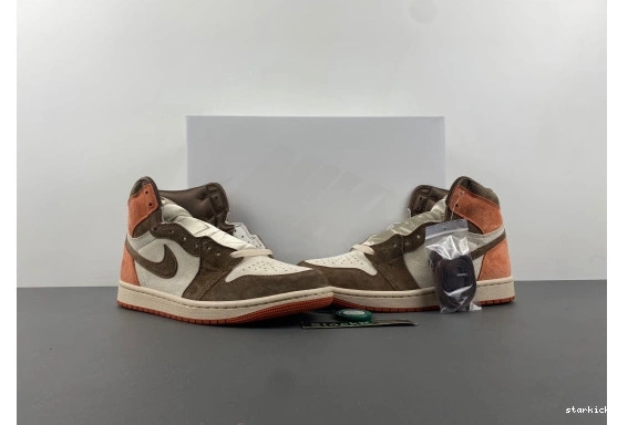 OG Jordan Dusted 1 SP  FQ2941-200 High FQ2941-200  Clay Retro 0117